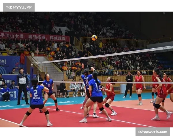 开封龙亭队战术多变收官，平顶山队主场气氛火热